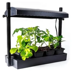 SunBlaster 1600218 T5HO Indoor Canopy Micro Grow Light Garden System With 1, 12-Inch 11-Watt 6400K Strip Light & 1 NanoTech T5 Reflector, Black -Outdoor Garden Store GUEST 02dc1883 af79 4b04 bbf7 467ddc3ca9fc