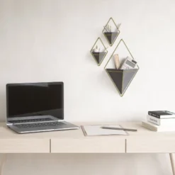 Set Of 2 Trigg Wall Display Planters Black/Brass - Umbra -Outdoor Garden Store GUEST 09b138ea 3e6d 4821 b983 1cb428062d1c