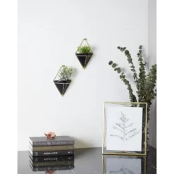 Set Of 2 Trigg Wall Display Planters Black/Brass - Umbra -Outdoor Garden Store GUEST 0f0d25f7 24a3 4c29 8ab9 80ca8c9eb32a