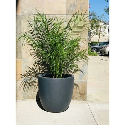Rosemead Home & Garden, Inc. 17" Concrete/Fiberglass Modern Indoor/Outdoor Planter Charcoal Gray 8 Rosemead Home & Garden, Inc. 17" Concrete/Fiberglass Modern Indoor/Outdoor Planter Charcoal Gray - Image 8