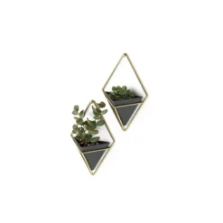 Set Of 2 Trigg Wall Display Planters Black/Brass - Umbra -Outdoor Garden Store GUEST 20d13f0f b3c5 4653 9763 f2c96cf825fb
