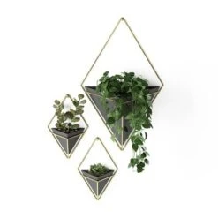 Set Of 2 Trigg Wall Display Planters Black/Brass - Umbra -Outdoor Garden Store GUEST 28f79776 2314 40ef 9bea e6c7165efb25