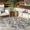 NuLOOM Gale Geometric Indoor/Outdoor Patio Area Rug