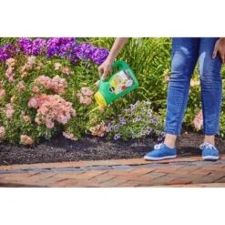 Miracle-Gro Shake 'N Feed All Purpose Continuous Release Plant Food 4.5lb -Outdoor Garden Store GUEST 336d009d b5ce 4a76 beec 25c002711f01