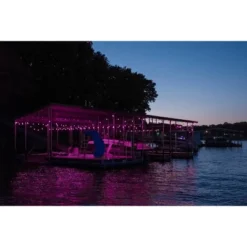 12ct Seasons Wi-Fi Classic Café Outdoor String Lights - Black Wire - Enbrighten -Outdoor Garden Store GUEST 40a944b3 168f 4db9 8911 5ee3e8c13c0e