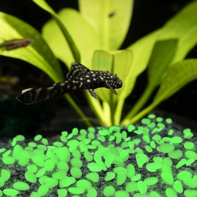 Nature Spring Glow In The Dark Solar-Powered Garden Stones - 200-pc 3 Nature Spring Glow In The Dark Solar-Powered Garden Stones - 200-pc - Image 3