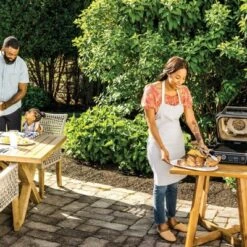 Ninja Woodfire Outdoor Grill & Smoker, 7-in-1 Master Grill, BBQ Smoker And Air Fryer With Woodfire Technology - OG701 -Outdoor Garden Store GUEST 5152cf84 5d04 4174 b301 173aac6ce56d