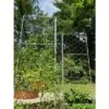 Gardener's Supply Company Chicken Wire Pea Trellis For Climbing Plants | Multi-Use Heavy Duty Outdoor Garden Peas, Tomato, Cucumber Plant Support |
