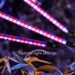 Dartwood LED Grow Lights For Indoor Plants With Red Blue Spectrum - Plant Grow Light With 9 Brightness Levels, Auto On Off Function (2 Pack) 8 Dartwood LED Grow Lights For Indoor Plants With Red Blue Spectrum - Plant Grow Light With 9 Brightness Levels, Auto On Off Function (2 Pack) -Outdoor Garden Store GUEST 64e7f763 cf31 4488 8e7b 2876844a1da3