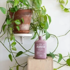 Arber 8oz Organic Bio Fungicide Concentrate 9 Arber 8oz Organic Bio Fungicide Concentrate -Outdoor Garden Store GUEST 74c89724 6a23 46eb 8147 87dd90e948c5