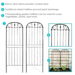 Sunnydaze Decor Sunnydaze Metal Wire Traditional Garden Trellis For Climbing Plants And Flowers - 32" H - Black - 2-Pack -Outdoor Garden Store GUEST 76ea74fa e05b 44fb a7c2 8bb86d7a7ba7