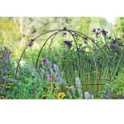 Gardeners Supply Company Jardin Bird Cage Plant Support | Large Sturdy Grow-Through Steel Flower Trellis And Garden Decor | Best To Support Peonies, -Outdoor Garden Store GUEST 836c3e6b 1003 4cad 98af f17e48edbd87