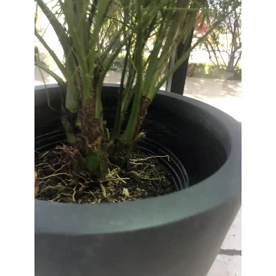 Rosemead Home & Garden, Inc. 17" Concrete/Fiberglass Modern Indoor/Outdoor Planter Charcoal Gray 11 Rosemead Home & Garden, Inc. 17" Concrete/Fiberglass Modern Indoor/Outdoor Planter Charcoal Gray - Image 11