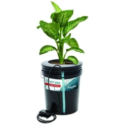 Active Aqua RS5GAL4SYS Root Spa 5 Gallon Hydroponic 4 Bucket Deep Water Culture Grow Kit System With Multi-Purpose Air Hose And Air Pump, Black -Outdoor Garden Store GUEST 8b444182 27a6 423c 970a 02aba733eb04