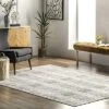 NuLOOM Valerie Textured Geometric Indoor/Outdoor Patio Area Rug