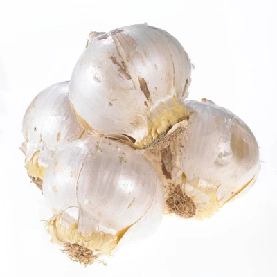 Set Of 3 Allium Schubertii Bulbs - Van Zyverden 4 Set Of 3 Allium Schubertii Bulbs - Van Zyverden - Image 4