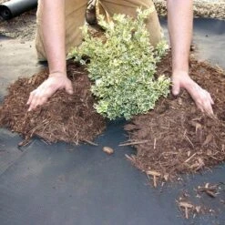 DeWitt Weed Barrier Pro 3-Ounce Commercial And Home Garden Landscape Weed Block Barrier Heavy-Duty Non-Woven Ground Cover Fabric, Black -Outdoor Garden Store GUEST 8ec83369 f28f 49ca 8c05 1a8805e12ebc