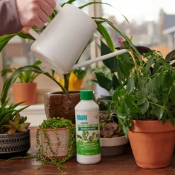 Back To The Roots All Purpose Plant Food 1.5lb -Outdoor Garden Store GUEST 8fbcf9d4 ba24 4538 b5cb ed69acfa3bc0