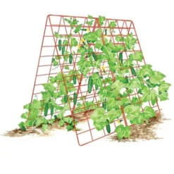 Deluxe Cucumber Trellis -Outdoor Garden Store GUEST 9bdaecf6 347d 48c6 950d 2fd9b882c806