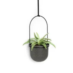 Triflora 5 Hanging Planter Black - Umbra 12 Triflora 5 Hanging Planter Black - Umbra -Outdoor Garden Store GUEST 9c8069c0 3124 4099 899f 5466d0209749