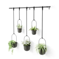 Triflora 5 Hanging Planter Black - Umbra