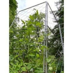 Gardener's Supply Company Chicken Wire Pea Trellis For Climbing Plants | Multi-Use Heavy Duty Outdoor Garden Peas, Tomato, Cucumber Plant Support | 5 Gardener's Supply Company Chicken Wire Pea Trellis For Climbing Plants | Multi-Use Heavy Duty Outdoor Garden Peas, Tomato, Cucumber Plant Support | -Outdoor Garden Store GUEST ab7477bf 9d33 45a3 9b47 25a12d6b9070