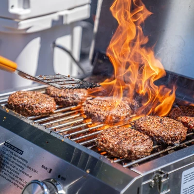 2-Burner Portable Tabletop Stainless Steel Propane Gas Grill Model 13742 - Monument Grills 3 2-Burner Portable Tabletop Stainless Steel Propane Gas Grill Model 13742 - Monument Grills - Image 3