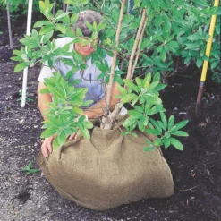 DeWitt NAT4300 4 X 300 Ft All Natural Organic Biodegradable Paper Mulch Garden Weed Control Barrier -Outdoor Garden Store GUEST b442a65b acf5 4154 a557 05faf91953c2