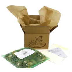 25ct Paperwhites Bulbs - Van Zyverden -Outdoor Garden Store GUEST bc77edb8 ae2e 4f65 80b4 613a97ad577f