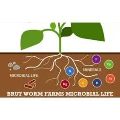 Brut Worm Farms All Organic Fertilizer Worm Castings Filled With Nutrients And Minerals For A Variety Of Indoor And Outdoor Plants, 30 Pounds (2 Pack) -Outdoor Garden Store GUEST c5ae6098 fe14 45f4 9a92 da8a7237698f