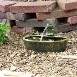 Sunnydaze Decor Sunnydaze Outdoor Solar Powered Ceramic Spitting Frog Water Fountain With Submersible Pump - 7" - Green -Outdoor Garden Store GUEST c88adac4 ff9e 416e 9919 269ec305d06c