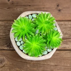 Nature Spring Glow In The Dark Solar-Powered Garden Stones - 200-pc 8 Nature Spring Glow In The Dark Solar-Powered Garden Stones - 200-pc -Outdoor Garden Store GUEST cd04b58b 8ba9 400a 9810 0b732c71d8c2