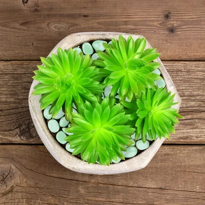 Nature Spring Glow In The Dark Solar-Powered Garden Stones - 200-pc 4 Nature Spring Glow In The Dark Solar-Powered Garden Stones - 200-pc - Image 4