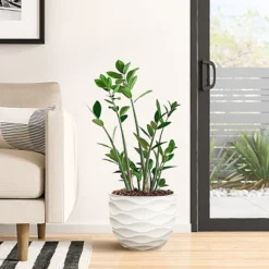 LuxenHome White MgO 11.6-Inch H Waves Round Planter 7 LuxenHome White MgO 11.6-Inch H Waves Round Planter -Outdoor Garden Store GUEST d47348c6 cb66 4956 8577 5e7283611479