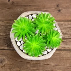 Nature Spring Glow-in-the-Dark Solar Pathway Pebble Lights, 200 Pcs. - Blue -Outdoor Garden Store GUEST d71e7d16 f5cd 4539 8248 ab1ba73ebeff