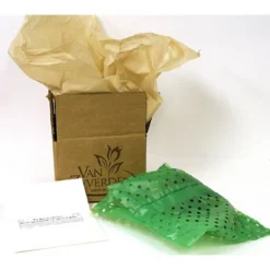 Van Zyverden Amaryllis Pink Gervase Flower Bulb -Outdoor Garden Store GUEST da007728 081a 4451 a0c3 be3329b28a63 1