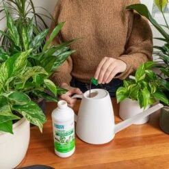 Back To The Roots All Purpose Plant Food 1.5lb -Outdoor Garden Store GUEST e3158163 5203 4f67 ad23 b96578e1a69f