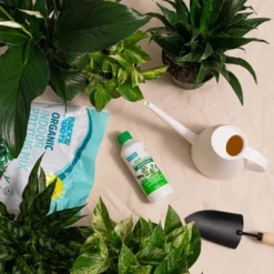 Back To The Roots All Purpose Plant Food 1.5lb -Outdoor Garden Store GUEST e816c4fe 78a7 4e47 84aa 4748f370b05b