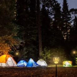 Solar Outdoor Torch Lights - Techko Maid -Outdoor Garden Store GUEST f9729b9e 88cf 4f83 9a0c d243bf30bbe8