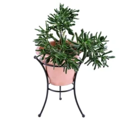 14" Iron Multi-Use Stand For Planter, Birdbath, Gazing Ball Black - ACHLA Designs